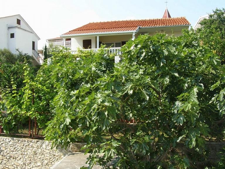 Spajic Apartments Seget Vranjica Rum bild